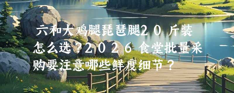六和大鸡腿琵琶腿20斤装怎么选？2026食堂批量采购要注意哪些鲜度细节？