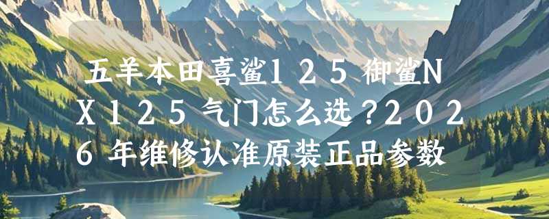 五羊本田喜鲨125御鲨NX125气门怎么选？2026年维修认准原装正品参数