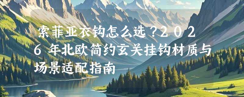索菲亚衣钩怎么选？2026年北欧简约玄关挂钩材质与场景适配指南