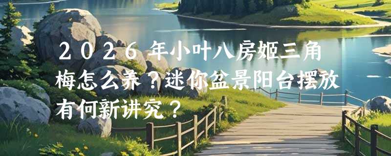 2026年小叶八房姬三角梅怎么养？迷你盆景阳台摆放有何新讲究？
