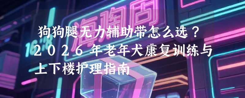 狗狗腿无力辅助带怎么选？2026年老年犬康复训练与上下楼护理指南