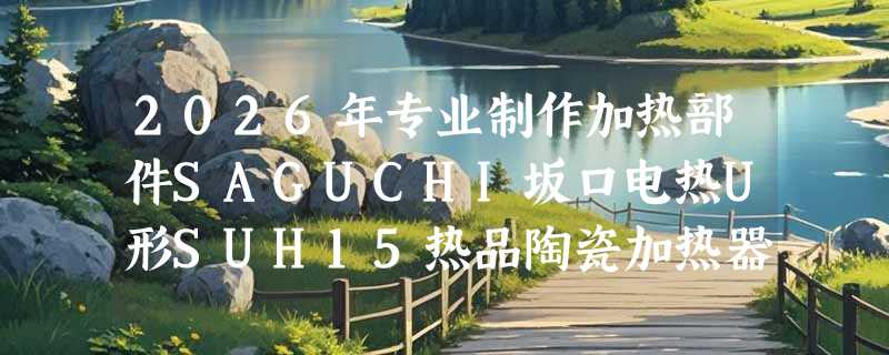 2026年专业制作加热部件SAGUCHI坂口电热U形SUH15热品陶瓷加热器选型要点有哪些？