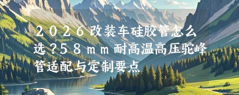 2026改装车硅胶管怎么选？58mm耐高温高压驼峰管适配与定制要点