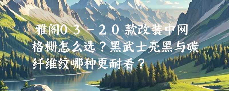 雅阁03-20款改装中网格栅怎么选？黑武士亮黑与碳纤维纹哪种更耐看？
