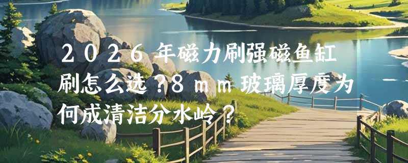 2026年磁力刷强磁鱼缸刷怎么选？8mm玻璃厚度为何成清洁分水岭？