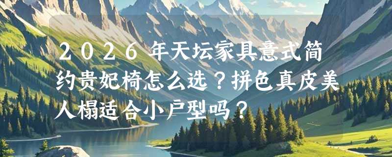 2026年天坛家具意式简约贵妃椅怎么选？拼色真皮美人榻适合小户型吗？