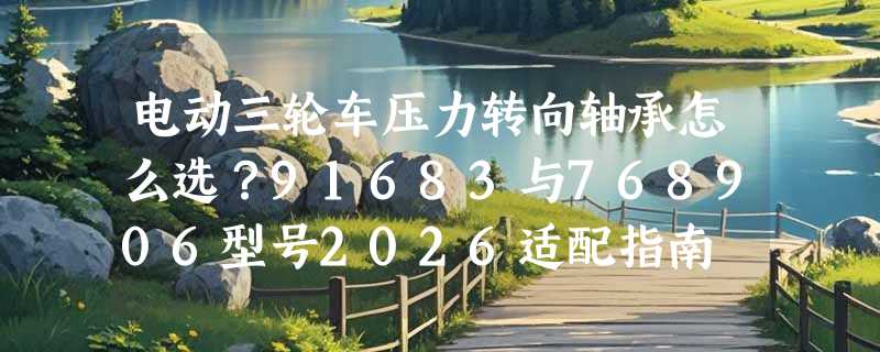 电动三轮车压力转向轴承怎么选？91683与768906型号2026适配指南