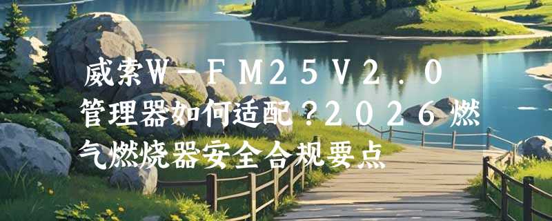威索W-FM25V2.0管理器如何适配？2026燃气燃烧器安全合规要点