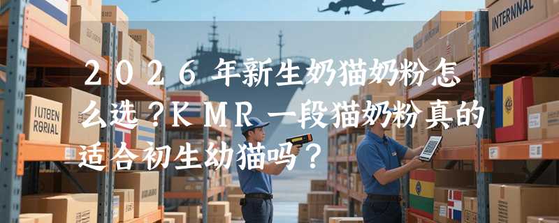 2026年新生奶猫奶粉怎么选？KMR一段猫奶粉真的适合初生幼猫吗？