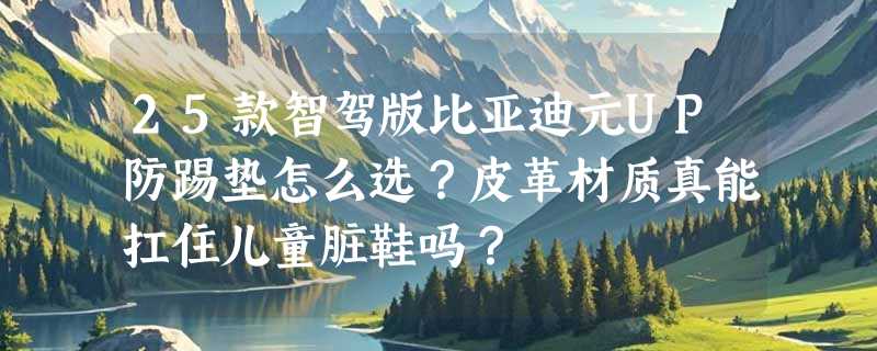 25款智驾版比亚迪元UP防踢垫怎么选？皮革材质真能扛住儿童脏鞋吗？