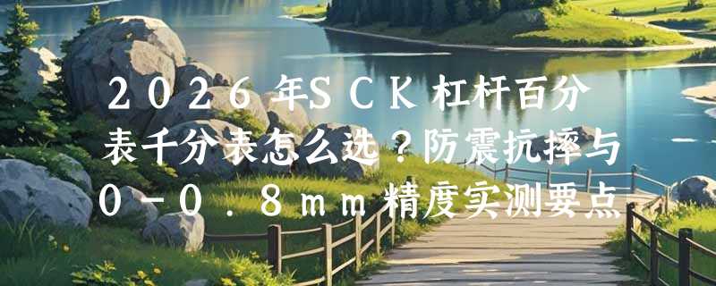 2026年SCK杠杆百分表千分表怎么选？防震抗摔与0-0.8mm精度实测要点