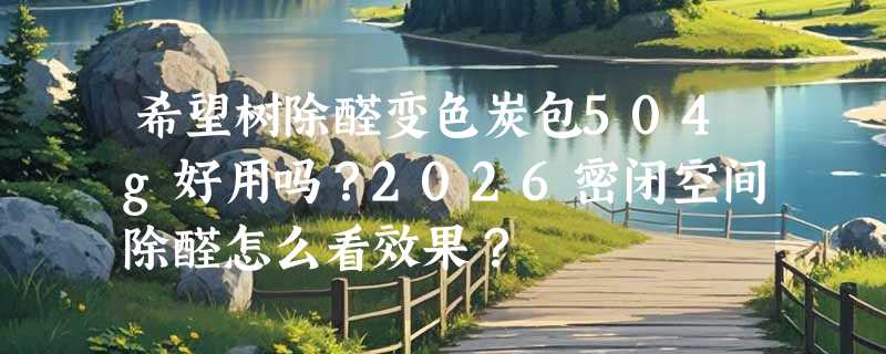 希望树除醛变色炭包504g好用吗？2026密闭空间除醛怎么看效果？