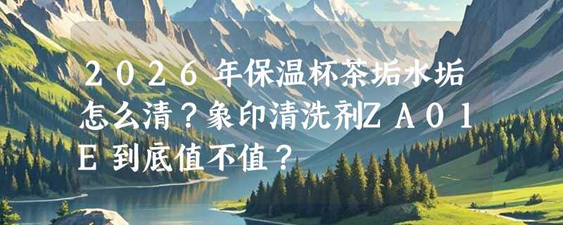 2026年保温杯茶垢水垢怎么清？象印清洗剂ZA01E到底值不值？