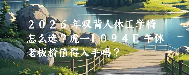 2026年双背人体工学椅怎么选？虎一1094E午休老板椅值得入手吗？