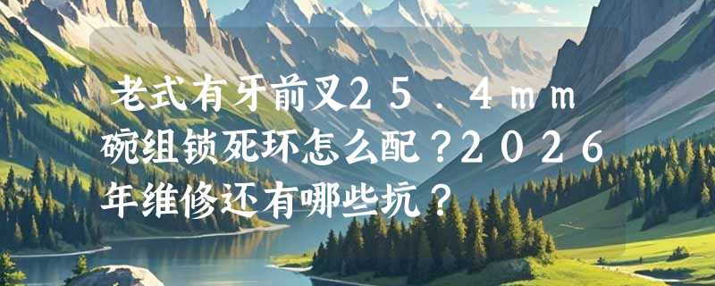 老式有牙前叉25.4mm碗组锁死环怎么配？2026年维修还有哪些坑？