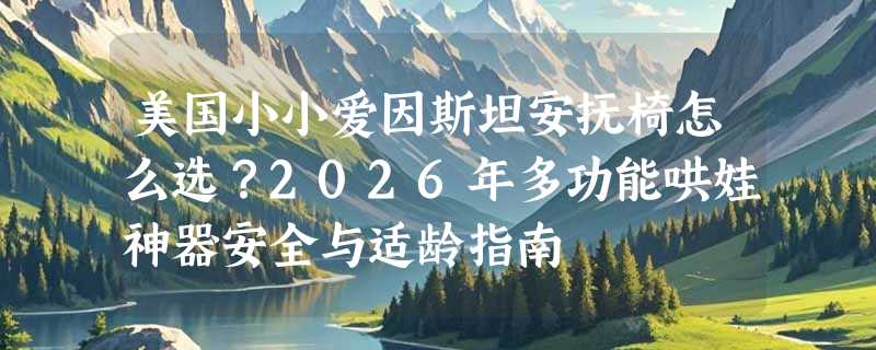 美国小小爱因斯坦安抚椅怎么选？2026年多功能哄娃神器安全与适龄指南