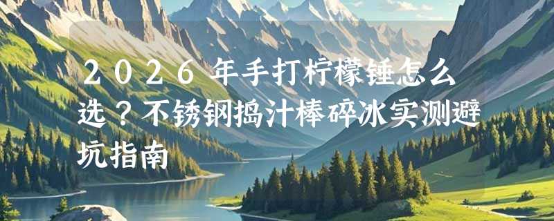 2026年手打柠檬锤怎么选？不锈钢捣汁棒碎冰实测避坑指南