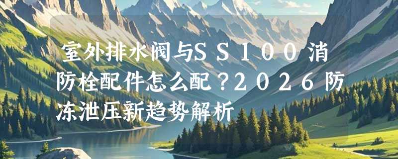 室外排水阀与SS100消防栓配件怎么配？2026防冻泄压新趋势解析