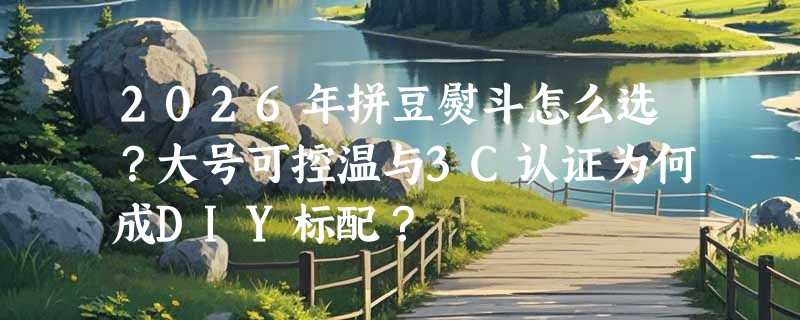 2026年拼豆熨斗怎么选？大号可控温与3C认证为何成DIY标配？