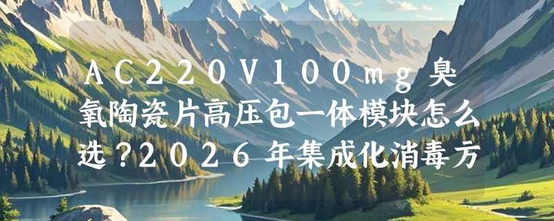 AC220V100mg臭氧陶瓷片高压包一体模块怎么选？2026年集成化消毒方案新趋势