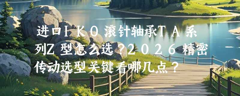进口IKO滚针轴承TA系列Z型怎么选？2026精密传动选型关键看哪几点？