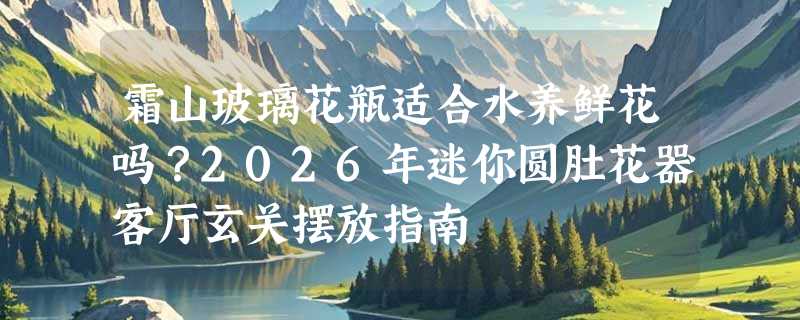 霜山玻璃花瓶适合水养鲜花吗？2026年迷你圆肚花器客厅玄关摆放指南