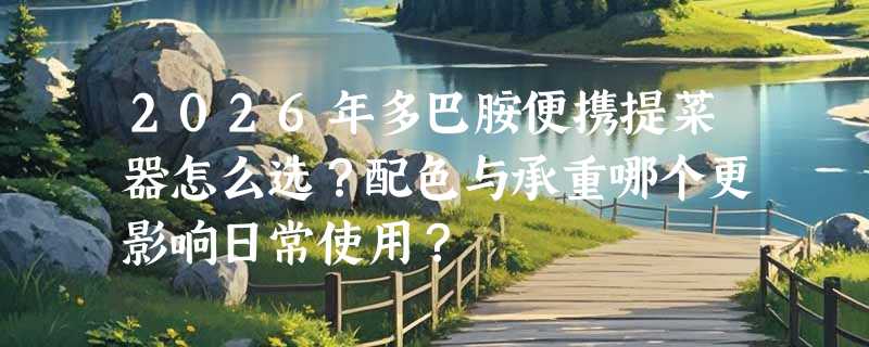 2026年多巴胺便携提菜器怎么选？配色与承重哪个更影响日常使用？