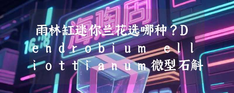 雨林缸迷你兰花选哪种？Dendrobium elliottianum微型石斛兰2026造景适配要点