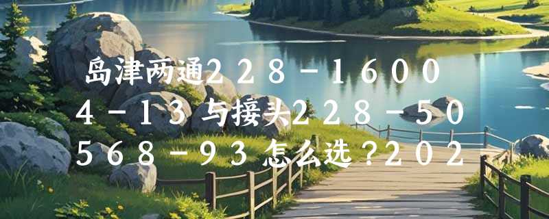 岛津两通228-16004-13与接头228-50568-93怎么选？2026采购避坑指南