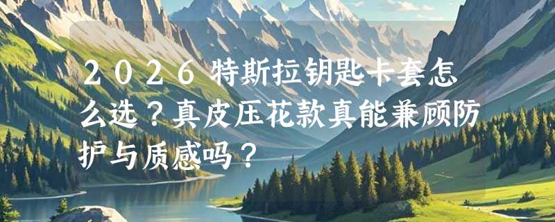 2026特斯拉钥匙卡套怎么选？真皮压花款真能兼顾防护与质感吗？