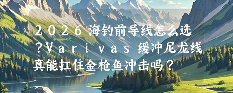 2026海钓前导线怎么选？Varivas缓冲尼龙线真能扛住金枪鱼冲击吗？