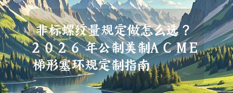 非标螺纹量规定做怎么选？2026年公制美制ACME梯形塞环规定制指南