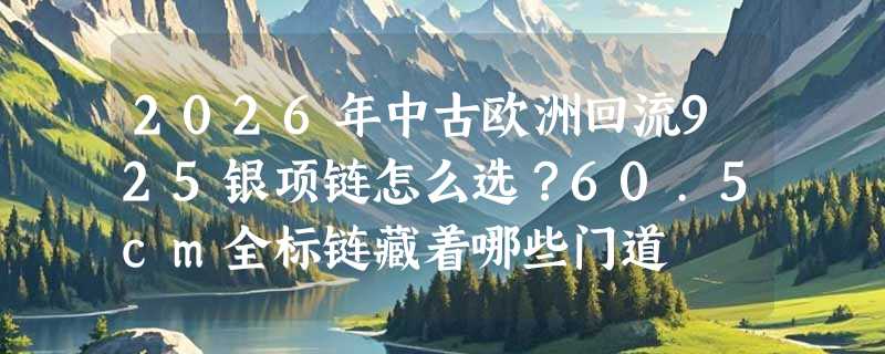 2026年中古欧洲回流925银项链怎么选？60.5cm全标链藏着哪些门道