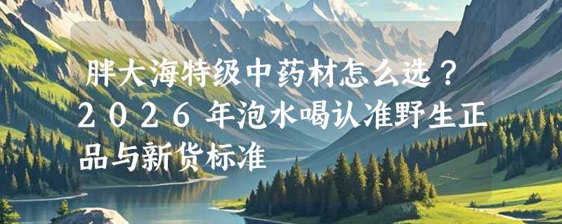 胖大海特级中药材怎么选？2026年泡水喝认准野生正品与新货标准