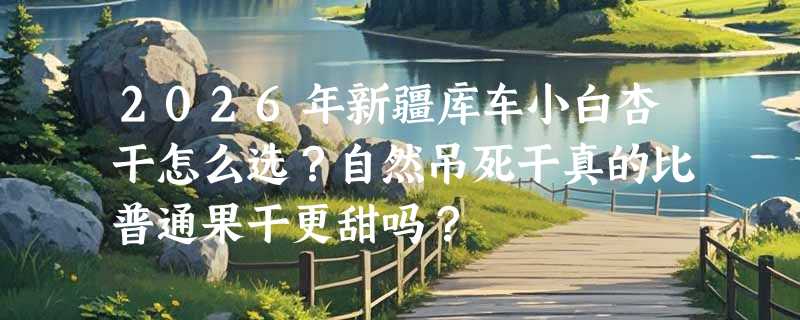 2026年新疆库车小白杏干怎么选？自然吊死干真的比普通果干更甜吗？