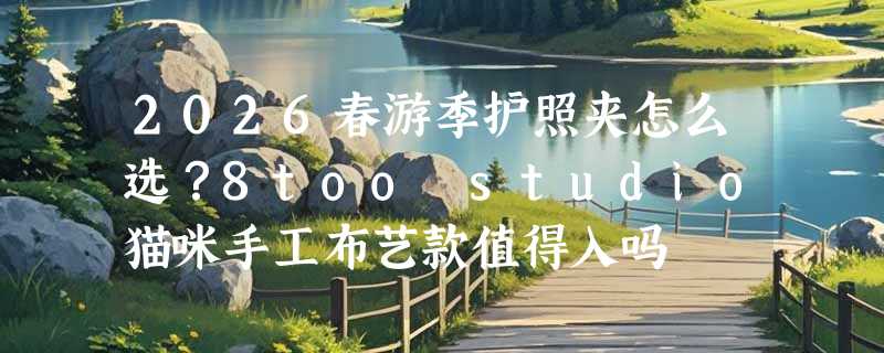 2026春游季护照夹怎么选？8too studio猫咪手工布艺款值得入吗