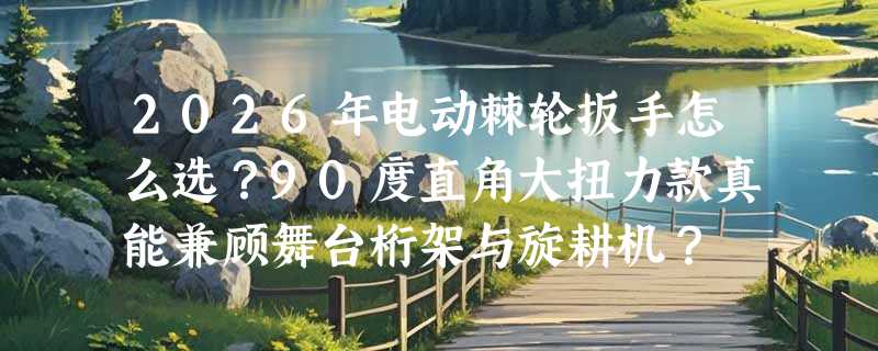 2026年电动棘轮扳手怎么选？90度直角大扭力款真能兼顾舞台桁架与旋耕机？