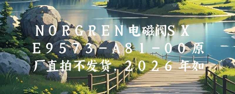NORGREN电磁阀SXE9573-A81-00原厂直拍不发货，2026年如何合规询价？