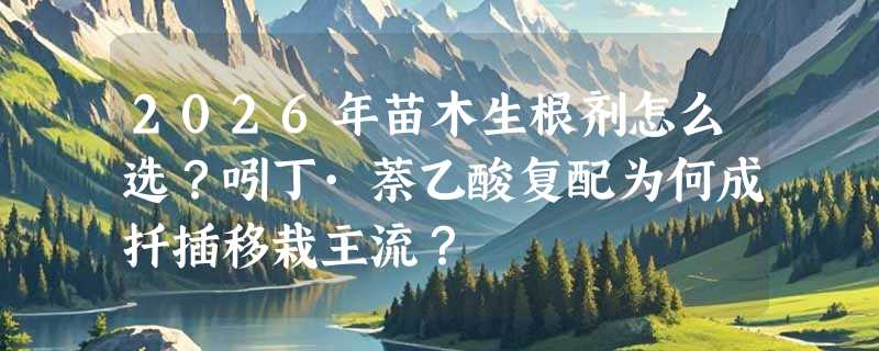 2026年苗木生根剂怎么选？吲丁·萘乙酸复配为何成扦插移栽主流？