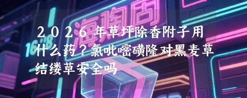 2026年草坪除香附子用什么药？氯吡嘧磺隆对黑麦草结缕草安全吗