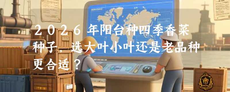 2026年阳台种四季香菜种子，选大叶小叶还是老品种更合适？