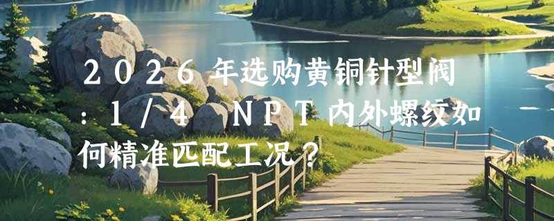 2026年选购黄铜针型阀：1/4 NPT内外螺纹如何精准匹配工况？