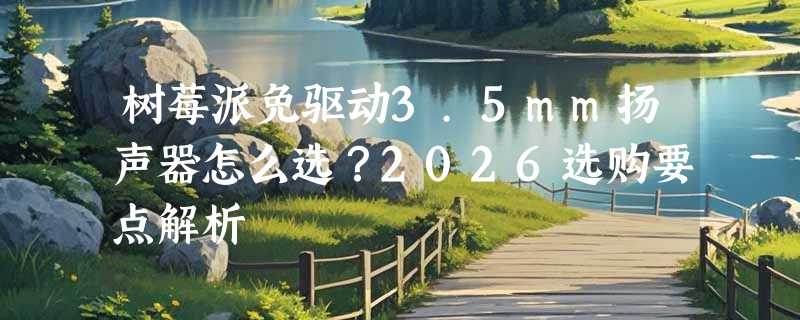 树莓派免驱动3.5mm扬声器怎么选？2026选购要点解析