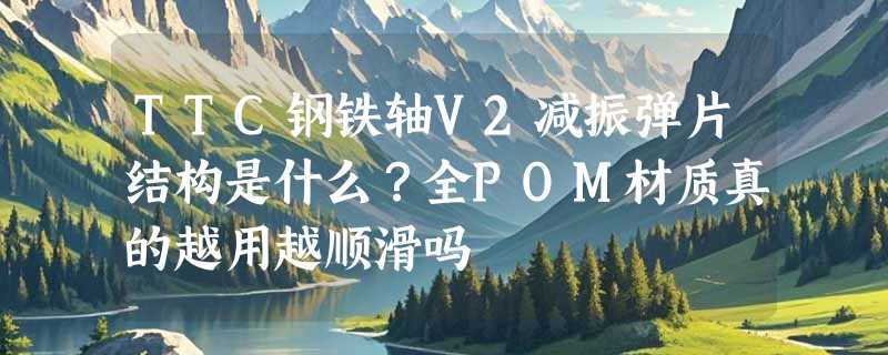 TTC钢铁轴V2减振弹片结构是什么？全POM材质真的越用越顺滑吗