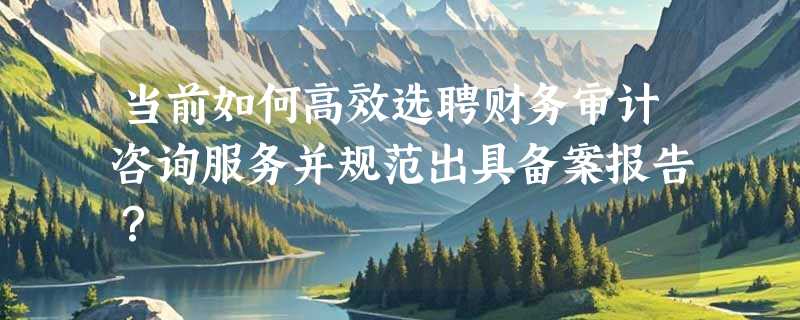 当前如何高效选聘财务审计咨询服务并规范出具备案报告？