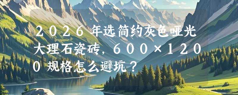 2026年选简约灰色哑光大理石瓷砖，600×1200规格怎么避坑？