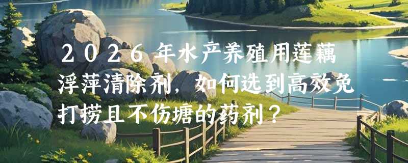 2026年水产养殖用莲藕浮萍清除剂，如何选到高效免打捞且不伤塘的药剂？