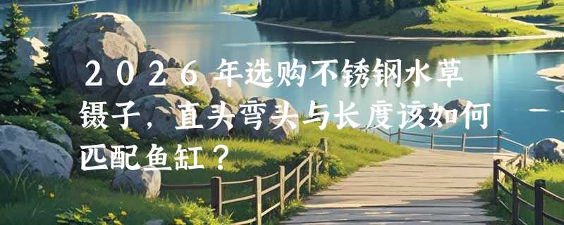 2026年选购不锈钢水草镊子，直头弯头与长度该如何匹配鱼缸？