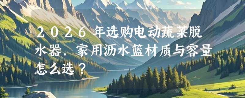 2026年选购电动蔬菜脱水器，家用沥水篮材质与容量怎么选？