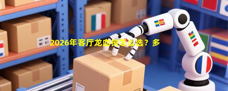 2026年客厅龙血树怎么选？多头造型与尺寸搭配指南